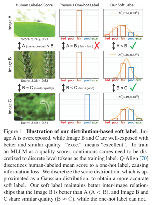 Teaching Large Language Models to Regress Accurate Image Quality Scores using Score Distribution