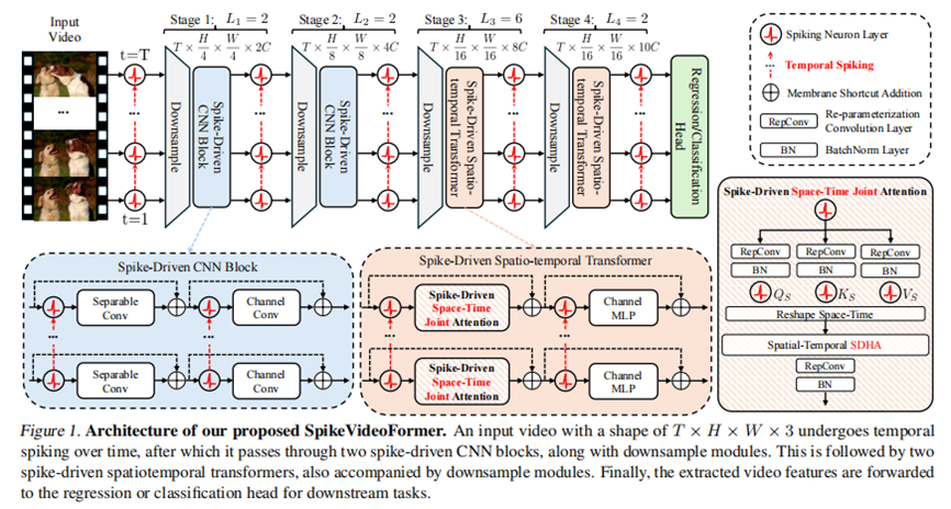 SpikeVideoFormer: An Efficient Spike-Driven Video Transformer with Hamming Attention and O(T) Complexity